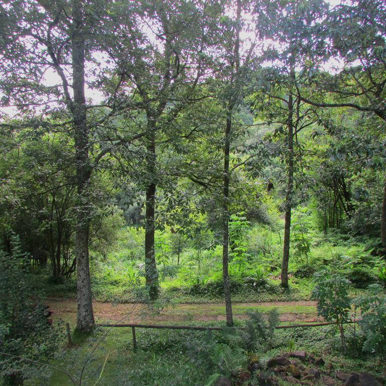 Old Pine Cabin Karkloof Yarrow Buitenkant foto